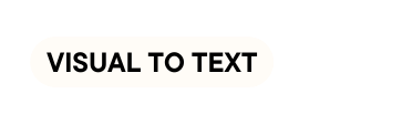 VISUAL TO TEXT